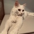 Güzeller güzeli lidya fotoğraf