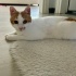 Güzel prenses yuvasını arıyor fotoğraf