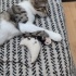 3 aylık oyuncu prenses sokağa dönmesin fotoğraf
