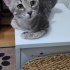 3 aylık prenses küçücük odada sürekli ağlıyor fotoğraf