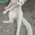 Sokağa atılmış boncuk göz fotoğraf
