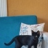 Salem fotoğraf