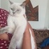 Maya cok uysal uyumlu bir cocuk fotoğraf