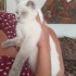 Maya cok uysal uyumlu bir cocuk fotoğraf