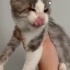 Aşk cok uyumlu sevgi pıtircigi bir kız fotoğraf