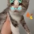 Aşk cok uyumlu sevgi pıtircigi bir kız fotoğraf