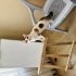 Kalp Desenli Oyuncu Kedi fotoğraf