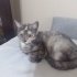 Pamuğa ve boncuğa yeni yuva arıyoruz fotoğraf