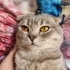 Mecnuna yuva arıyoruz fotoğraf