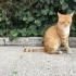 Lütfen Kaderi Değişsin fotoğraf