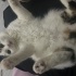 Çok eğlenceli oyun sever fotoğraf