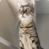 Görme engelli çocuğa ömürlük yuva fotoğraf