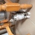SAĞLIKLI YAVRU KEDİLERE YUVA ARANIYOR fotoğraf