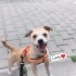 Oyuncu temas sever lucky(ACILL SADECE İZMİR İÇİ) fotoğraf