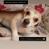 Oyuncu temas sever lucky(ACILL SADECE İZMİR İÇİ) fotoğraf