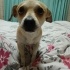 Oyuncu temas sever lucky(ACILL SADECE İZMİR İÇİ) fotoğraf