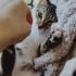 3 aylık safiş hanım kurtarıcısı o bekliyor fotoğraf