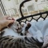 3 aylık safiş hanım kurtarıcısı o bekliyor fotoğraf
