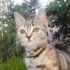 BALIM TERK EDİLDİ. ACİL YUVA