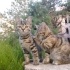 BALIM TERK EDİLDİ. ACİL YUVA fotoğraf