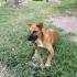 Çok acil yuva arıyorum fotoğraf