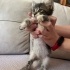 Anneleri terk etmiş 2 miniğe acil yuva fotoğraf