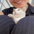 SEVGİ YUMAĞI ZARİF KEDİCİK