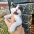 Oyuncu Bebek/Acil Yuva Arıyorum fotoğraf