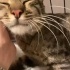 KLİNİKTE Bİ GÖZ YERDE COK SIKILDI fotoğraf