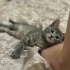 Onun kurtarıcı meleği olurmusun💞