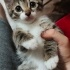 Poncik bebek yuva arıyor fotoğraf