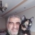 ZEKİ KIZIMIZA(TORTOİSSHELL) ACİL YUVA ARIYORUZ fotoğraf