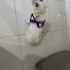 Güzeller güzeli kızımıza yuva arıyoruz fotoğraf