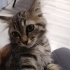 DELİ DOLU SEVGİ DOLU MİNNAK fotoğraf