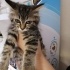 DELİ DOLU SEVGİ DOLU MİNNAK fotoğraf