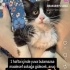 Kerimcan yuva arıyor fotoğraf