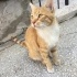 Kaderini Birlikte Değiştirelim fotoğraf