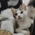 Sokağa gitmesin güzel bebek fotoğraf