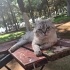 Parkta bulduğumuz uysal çocuğa yuva arıyoruz fotoğraf