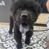 Loki cok uysal dunya tatlisi bir yakışiklı