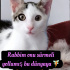 O seçilmiş bir ruh.....Bir gözü sürmeli 👁️ fotoğraf