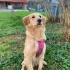 Tatlı kızımıza yuva arıyoruz fotoğraf