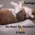 Tam bir tefekkür sebebi 🧚Lavinya🧚 fotoğraf