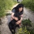 AŞILI VE KISIR SAFKAN GOLDEN RETRİEVER fotoğraf