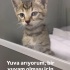 Veterinerimiz sahiplendirmek istiyor fotoğraf