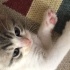 Anne engellı 4 bebegım var fotoğraf