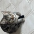 Minik kızımız ev arıyor fotoğraf