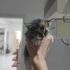 YAVRU KEDİLER YUVALARINI ARIYOR fotoğraf
