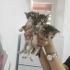 YAVRU KEDİLER YUVALARINI ARIYOR fotoğraf