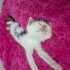 SOKAK DA ÖLMEK UZEREYKEN KURTARILDI ÇOK KÜÇÜK BIR KEDI fotoğraf